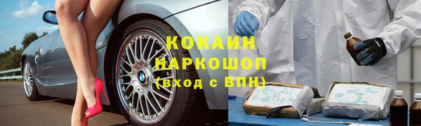 spice Алексин
