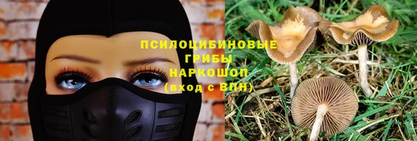 spice Алексин