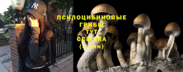 прущие крисы Алексеевка